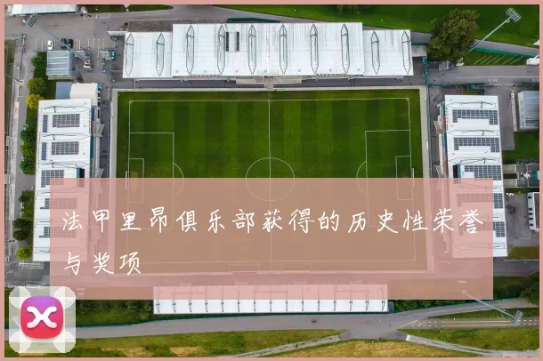 法甲里昂俱乐部获得的历史性荣誉与奖项