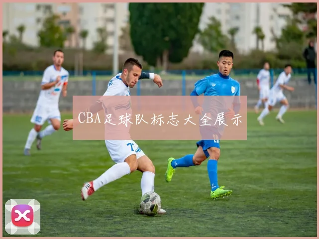 CBA足球队标志大全展示